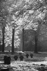 Friedhof Soldatenfriedhof