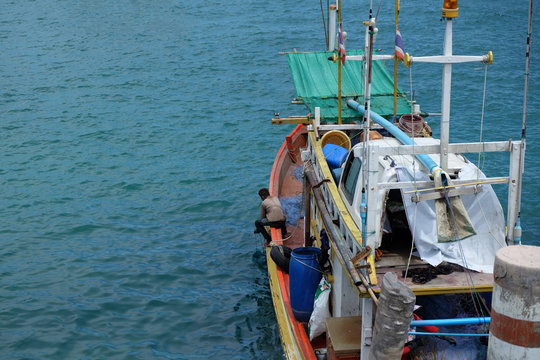 Life on the sea