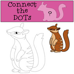 Educational game: Connect the dots. Little cute baby numbat.