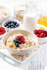 homemade oatmeal with berries for breakfast on white background