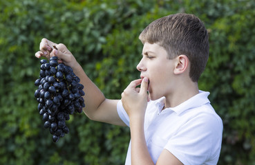 boy eating blue grapes in nature