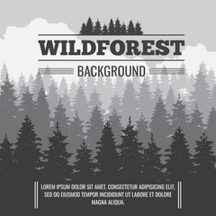 Wild coniferous pine forest vector outdoor nature background © MicroOne