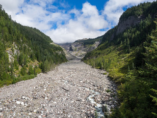 Mt. Rainier National Park Landscape