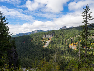 Fototapeta premium Mt. Rainier National Park Landscape