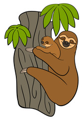 Cartoon animals. Mother sloth with her little cute baby.