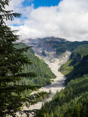 Fototapeta na wymiar Mt. Rainier National Park Landscape