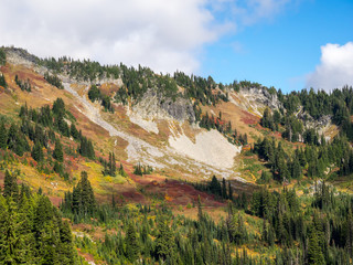 Obraz premium Mt. Rainier National Park Landscape
