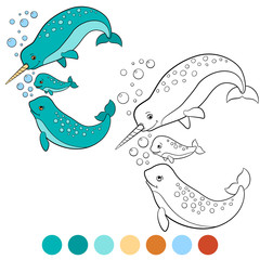 Coloring pages: narwhal. Mother, father and baby narwhals.