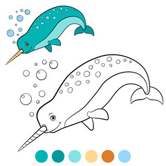 Coloring pages: narwhal. Little cute narwhal swims. © ya_mayka