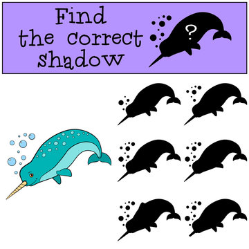 Educational game: Find the correct shadow. Little cute narwhale