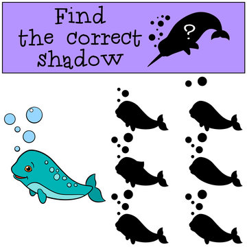Educational game: Find the correct shadow. Little cute baby narw