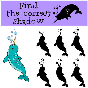 Educational game: Find the correct shadow. Little cute narwhale