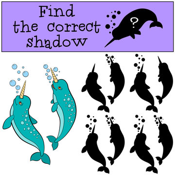Educational game: Find the correct shadow. Two little cute narwh