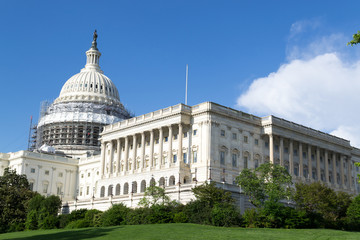 Obraz premium US Capitol in Washington DC
