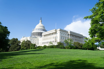 US Capitol in Washington DC