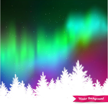 Northern lights and white spruce forest