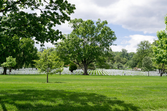 Gravestones in Arlington National Cemetery