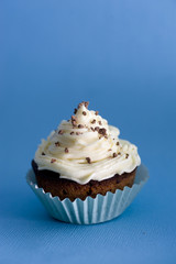 Chocolate and Vanilla cupcakes