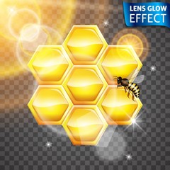 Lens glow effect. Honeycomb, Bee, glowing effect of the sun. Bright lights, glare, lens effect. Vector illustration