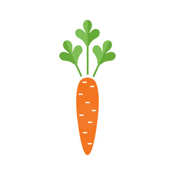 Carrot icon flat style