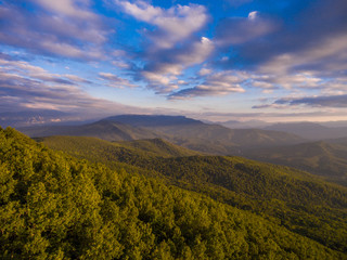 Naklejka premium Mountain forest and cloudy sky in the evening.