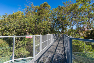The Canopy Walk at Queen Sirikit Botanic garden, a popular new a
