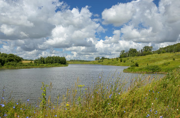 Fototapeta premium Sunny summer landscape.River Krasivaya in Tula region,Russia.