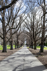 Walking in the streets of Melburne