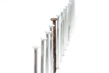Old rusty nail between new ones