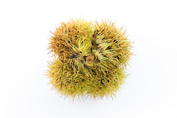 Autumn chestnuts detail