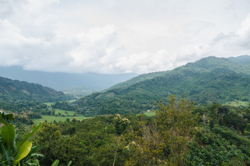 Area hills green forests with  nature landscape and fields