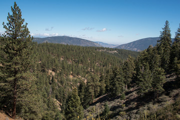 Fototapeta na wymiar Views from Mount Pinos, California