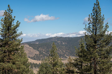 Fototapeta na wymiar Views from Mount Pinos, California