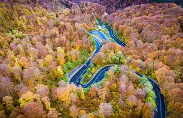  Aerial drone view of a curved winding road through the forest hi © Calin Stan