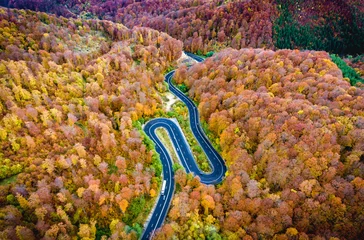 Foto op Canvas Winding road trough the forest. Hi mountain pass in Transylvania © Calin Stan