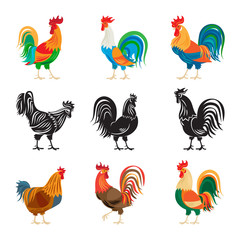 Roosters and rooster silhouettes isolated on white background. Chickens farm cockerel set vector illustration - obrazy, fototapety, plakaty