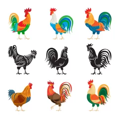 Foto op Plexiglas Roosters and rooster silhouettes isolated on white background. Chickens farm cockerel set vector illustration © ssstocker
