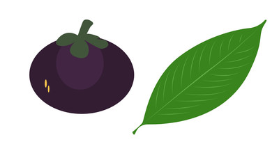 Mangosteen And Leaf