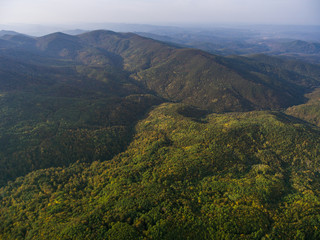 Landscape of mountain valley with autumn forest.