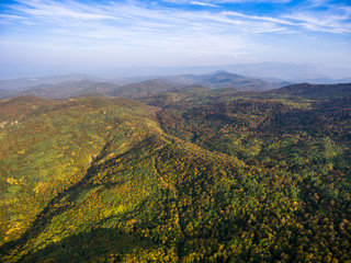 Landscape of mountain valley with autumn forest.