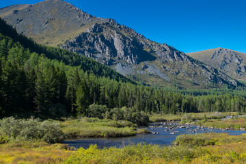 Fototapeta na wymiar Krepkaya river in the Altai mountains, Russia