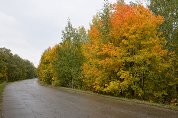 Obraz premium Путешествие в осень