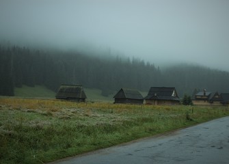 Dolina Chochołowska  © poetryandrock