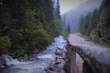 Dolina Chochołowska