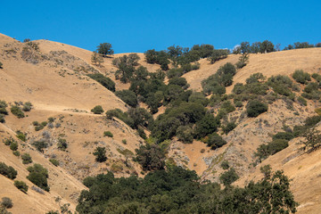 Views on the way to Mount Pinos