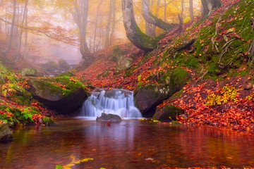 Beautiful autumn foggy forest with mountain waterfall