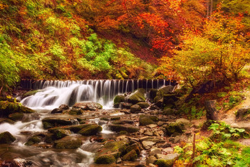 Obraz na płótnie Canvas Waterfall in the autumn forest at Carpathian mountains