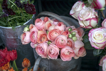 Bouquet of pink ranunculus