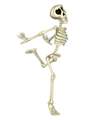 3D Rendering Human Skeleton on White