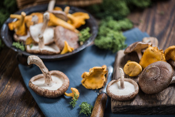 Fresh aromatic wild mushrooms
